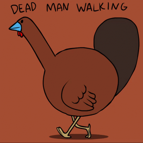 A Drawing Of A Turkey Walking With The Words Dead Man Walking Below It GIF