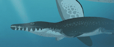 A Drawing Of A Whale With A Large Mouth GIF