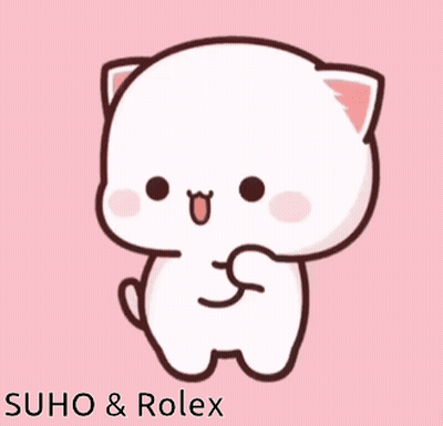 A Drawing Of A White Cat On A Pink Background With The Words Suho & Rolex On The Bottom GIF
