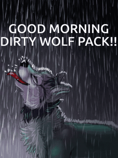 A Drawing Of A Wolf In The Rain With The Words " Good Morning Dirty Wolf Pack " GIF