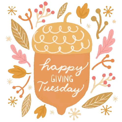 A Drawing Of An Acorn With The Words Happy Giving Tuesday On It Sticker
