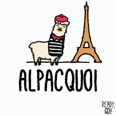 A Drawing Of An Alpaca Wearing A Striped Shirt And A Red Beret With The Word Alpacquoi Below It GIF