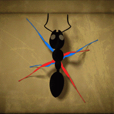 A Drawing Of An Ant With Red And Blue Lines GIF