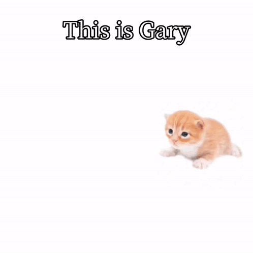 A Drawing Of Gary Brought You Another One With A Kitten GIF