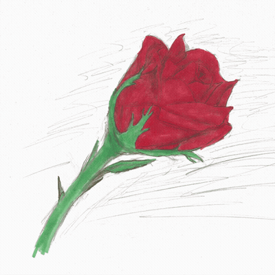 A Drawing Of Red Roses With Green Stems GIF