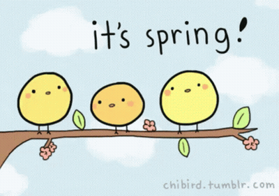 A Drawing Of Three Yellow Birds On A Tree Branch With The Words It 'S Spring GIF