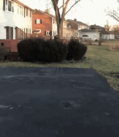 A Driveway Leading To A House With A Few Bushes In Front Of It GIF