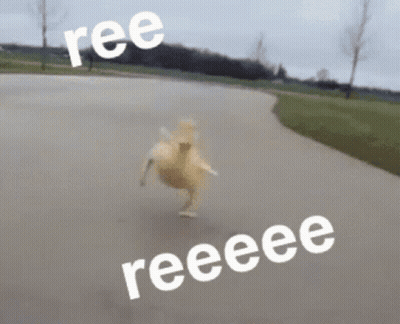 A Duck Is Running Down A Road With Ree And Reeeee Written On The Side GIF