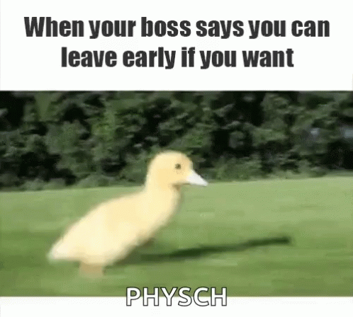 A Duck Is Running On A Grassy Field . GIF