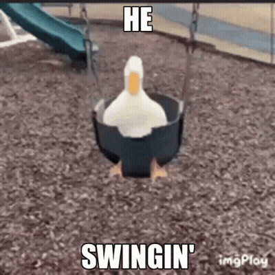 A Duck Is Sitting On A Swing With The Words He Swingin ' Written On It GIF