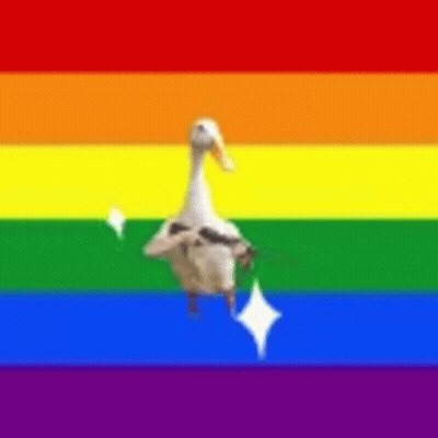 A Duck Is Standing In Front Of A Rainbow Flag With A Sparkle . GIF