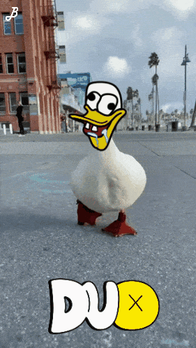 Cartoon Duck With Dux Text Below GIF