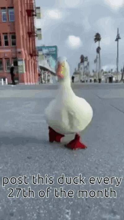 A Duck With Red Feet Is Walking Down A Sidewalk . GIF