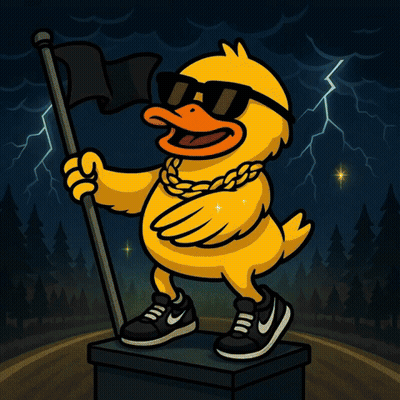 A Duck With Sunglasses And A Chain Around Its Neck Is Holding A Black Flag And The Word Duckcoin Is On The Bottom GIF