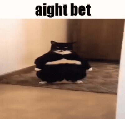 A Fat Black And White Cat Is Standing In A Hallway With Its Arms Crossed . GIF