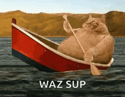 A Fat Cat Is Rowing A Boat In The Water With A Paddle . GIF