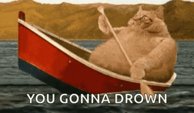 A Fat Cat Is Rowing A Boat In The Water With The Words `` You Gonna Drown '' . GIF