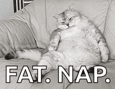 A Fat Cat Is Sitting On A Couch With The Words Fat Nap Written On It . GIF