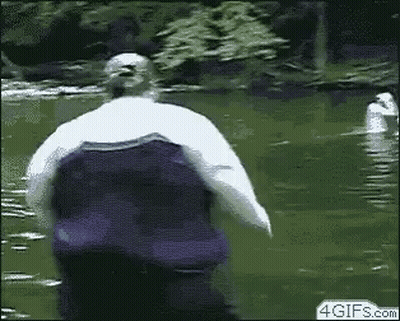 A Fat Man Is Jumping Into A Pond With A Swan . GIF