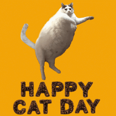 A Fat White Cat Is Jumping In The Air With The Words Happy Cat Day Written Below It GIF