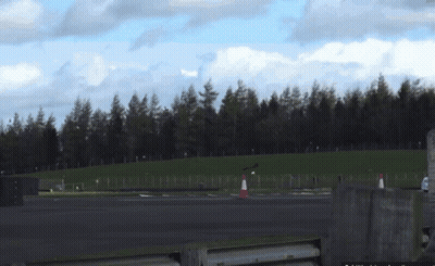 A Fenced In Area With Trees In The Background And A Few Cones GIF