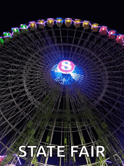 A Ferris Wheel Is Lit Up At The State Fair At Night GIF