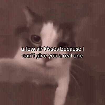 A Few Air Kisses Because I Can 'T Give You A Real One Written On A Cat 'S Face GIF