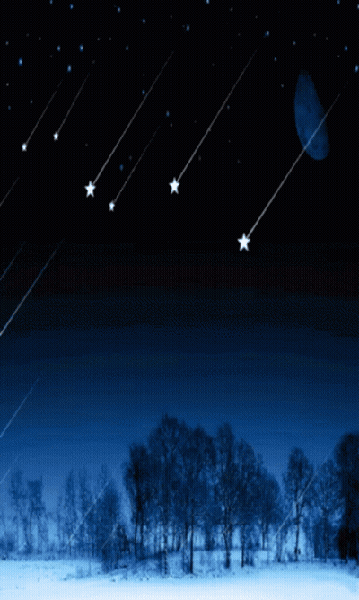 A Few Stars Are Falling In The Night Sky Over A Snowy Forest GIF