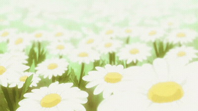 A Field Of Daisies With A Green Background GIF
