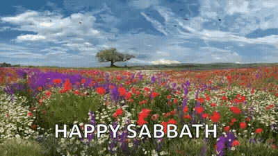 A Field Of Flowers With A Tree In The Background And The Words Happy Sabbath GIF