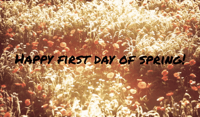 A Field Of Flowers With The Words Happy First Day Of Spring Written In Black GIF
