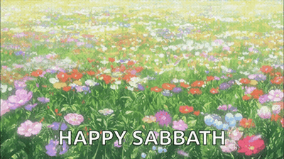 A Field Of Flowers With The Words Happy Sabbath Written On It GIF
