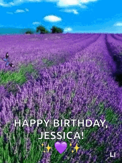 A Field Of Purple Flowers With The Words `` Happy Birthday , Jessica '' On It . GIF