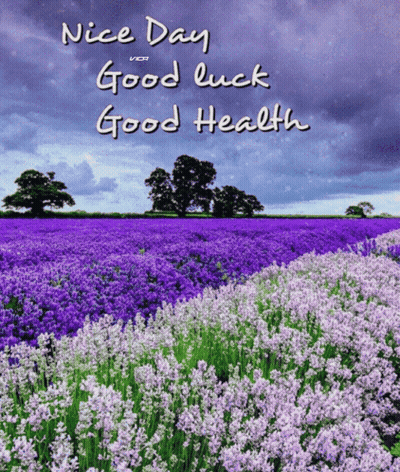 A Field Of Purple Flowers With The Words Nice Day Good Luck Good Health On It GIF
