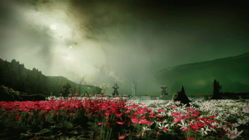 A Field Of Red And White Flowers Against A Green Background GIF