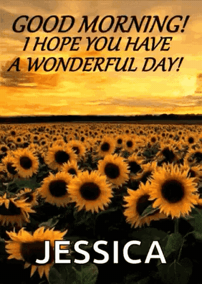 A Field Of Sunflowers With The Name Jessica Written On It . GIF