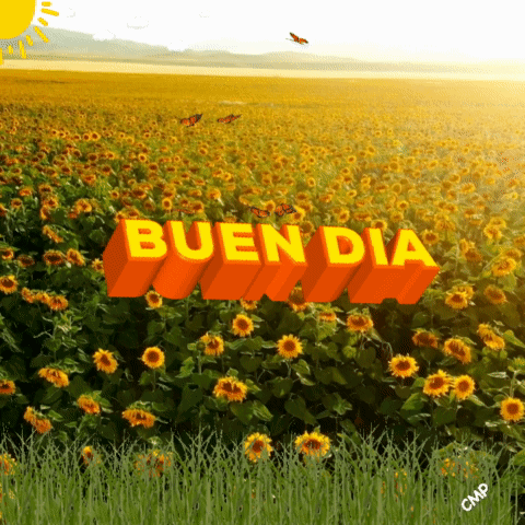 A Field Of Sunflowers With The Words Bueno Dia In Orange GIF