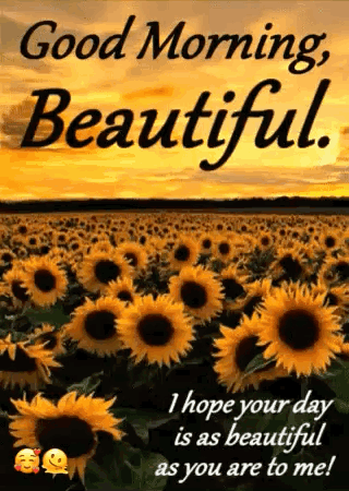 A Field Of Sunflowers With The Words `` Good Morning Beautiful , I Hope Your Day Is As Beautiful As You Are To Me '' . GIF
