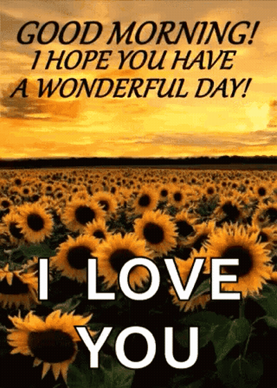 A Field Of Sunflowers With The Words `` Good Morning ! I Hope You Have A Wonderful Day ! I Love You '' GIF