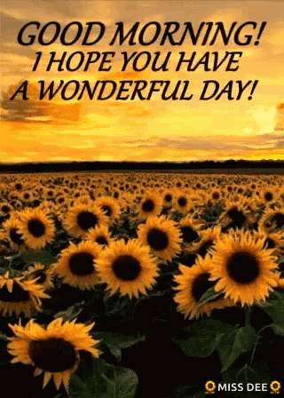 A Field Of Sunflowers With The Words `` Good Morning ! I Hope You Have A Wonderful Day ! `` GIF