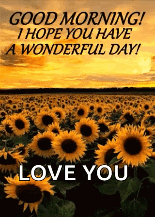A Field Of Sunflowers With The Words `` Good Morning , I Hope You Have A Wonderful Day ! '' GIF