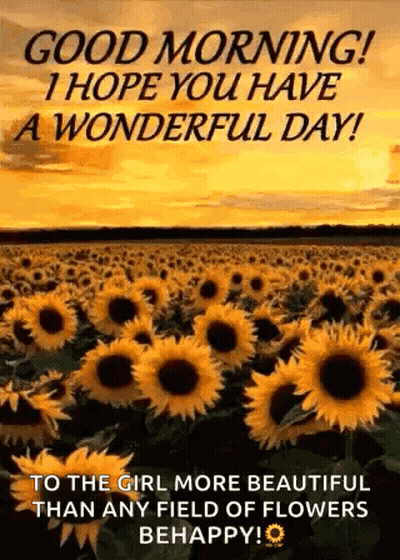 A Field Of Sunflowers With The Words `` Good Morning , I Hope You Have A Wonderful Day ! '' GIF