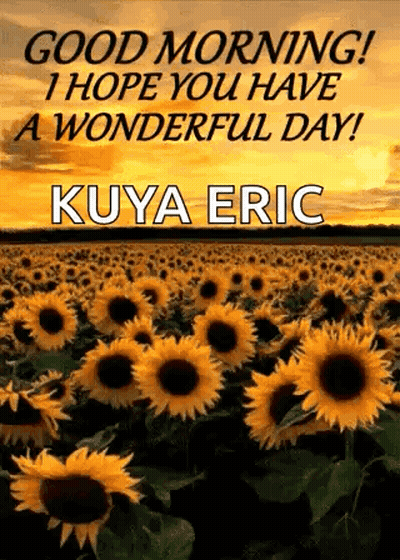 A Field Of Sunflowers With The Words `` Good Morning , I Hope You Have A Wonderful Day ! '' GIF