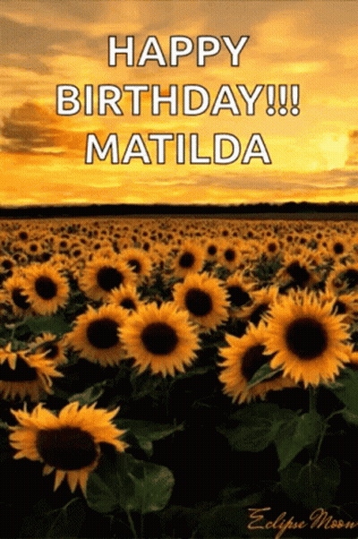 A Field Of Sunflowers With The Words Happy Birthday Matilda Written On The Bottom GIF