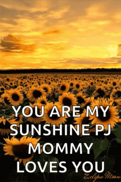 A Field Of Sunflowers With The Words " You Are My Sunshine Pj Mommy Loves You " On It GIF