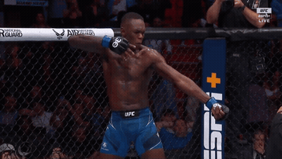 A Fighter In A Cage With A Sign That Says Ufc GIF