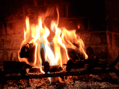 A Fire Burns In A Fireplace With The Letter N Visible GIF