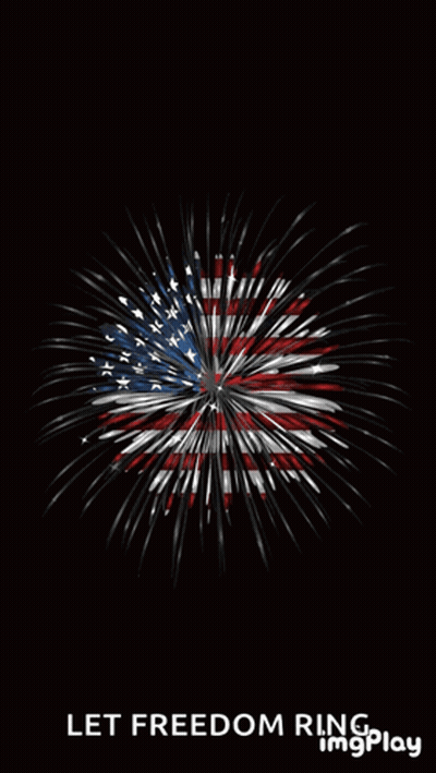 A Fireworks Display With The Words " Let Freedom Ring " Below It GIF
