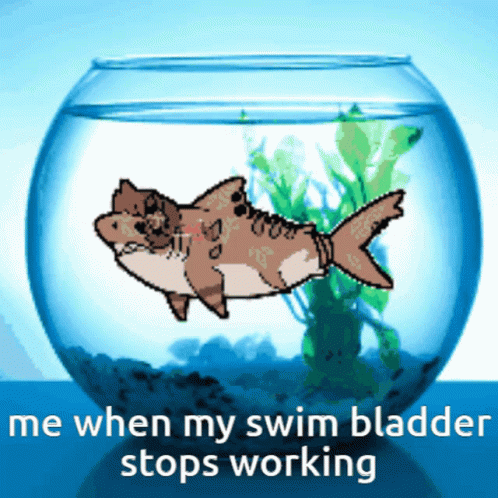 A Fish In A Bowl With The Words " Me When My Swim Bladder Stops Working " On The Bottom GIF