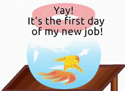 A Fish In A Bowl With The Words Yay It 'S The First Day Of My New Job Below It GIF